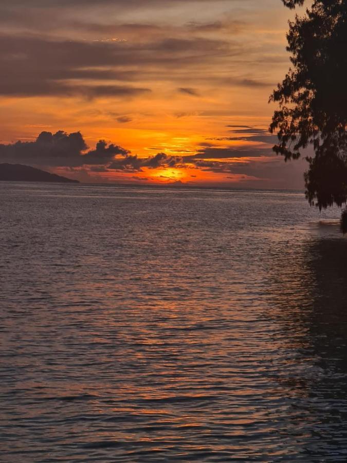 Wai Resort - Raja Ampat Pulau Birie Buitenkant foto