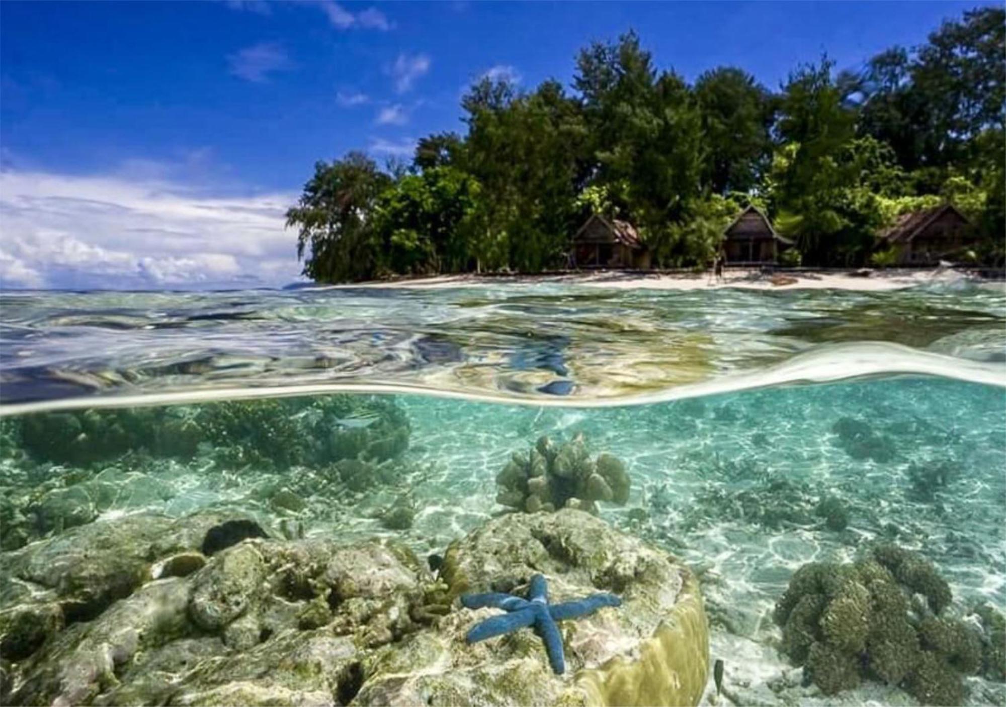 Wai Resort - Raja Ampat Pulau Birie Buitenkant foto